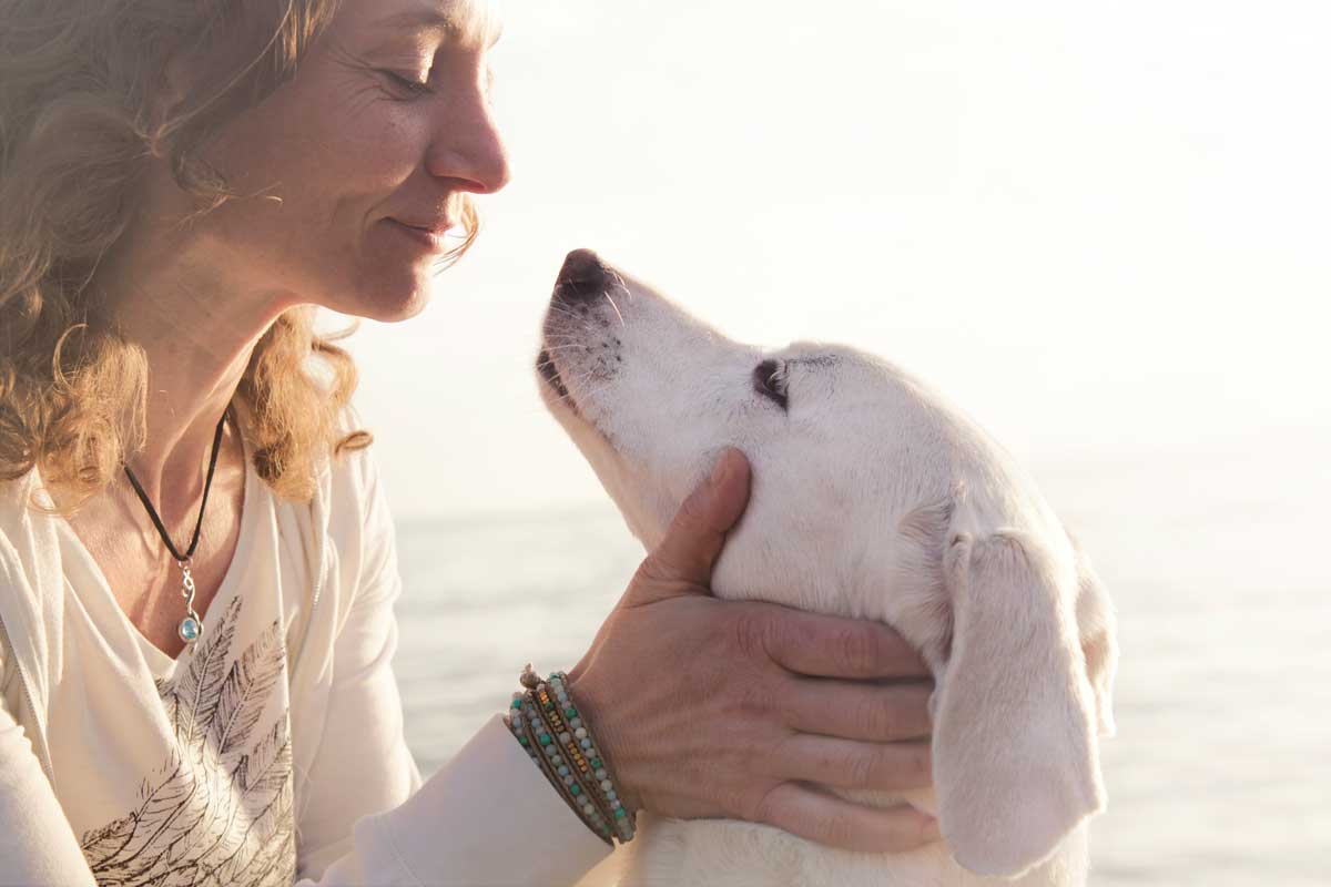 Featured image for post: 7 Steps to a Longer Life for Your Pet