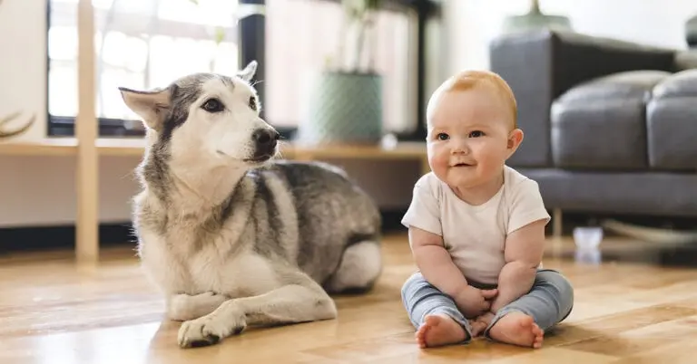 Baby and dog