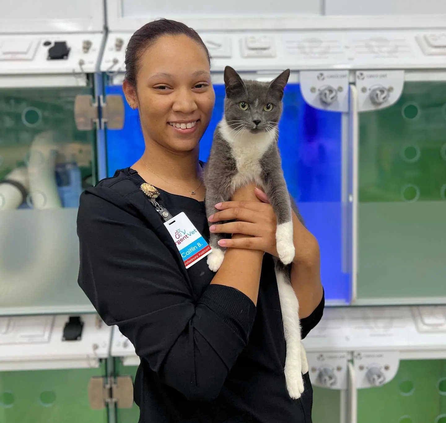 Featured image for post: UrgentVet Installs Casco Pet Enclosures to Enhance Patient Experience, Comfort