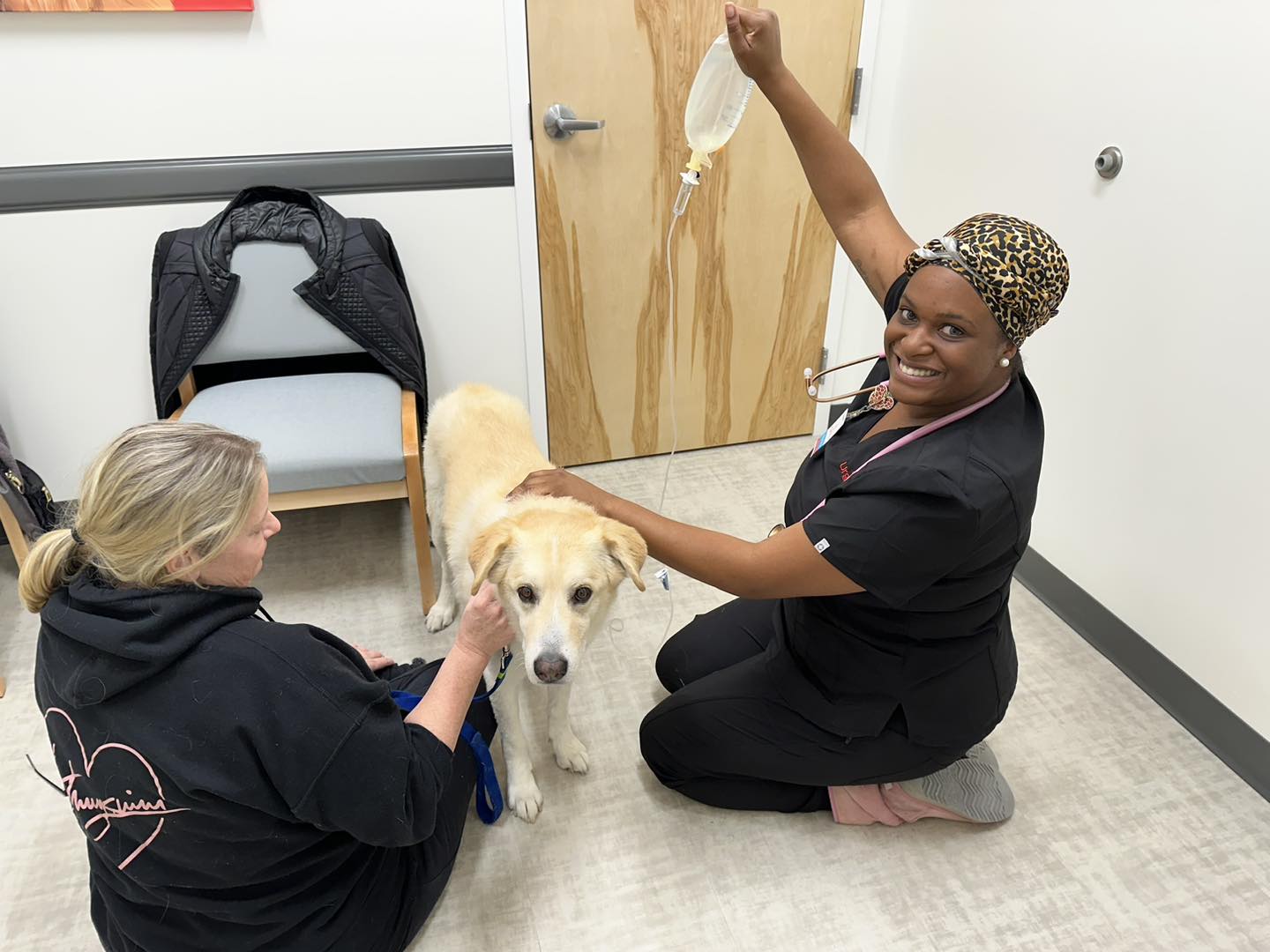 Featured image for post: UrgentVet Now Offering Urgent Pet Care at Clinic