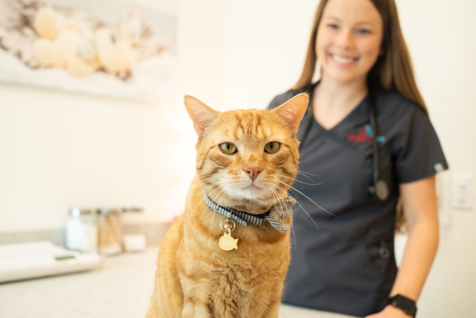 Featured image for post: After-Hours Urgent Care Vet Clinic Opens In Sarasota
