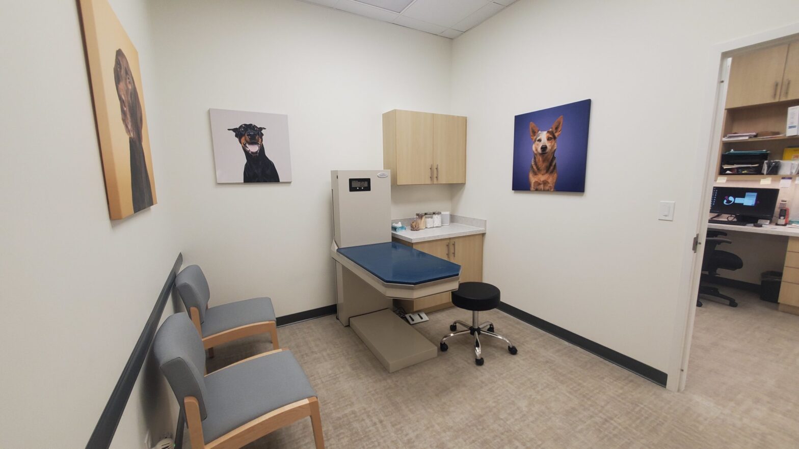 Featured image for post: UrgentVet Opening Clinic in Southlake