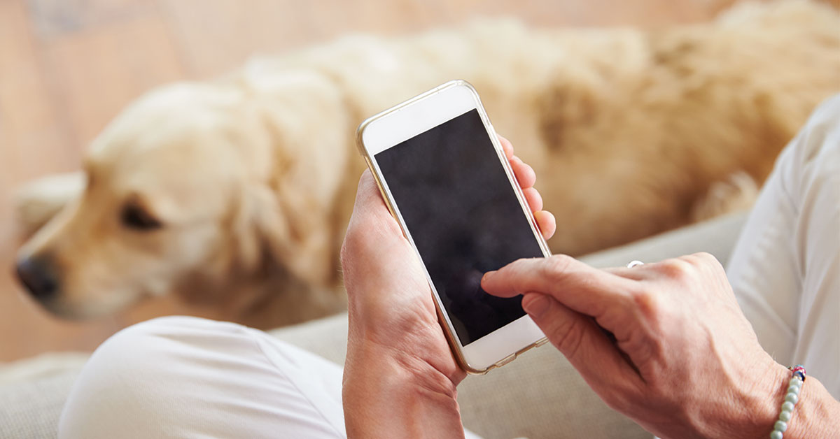 Featured image for post: Connect With Your Pet Via Apps On Your Smartphone