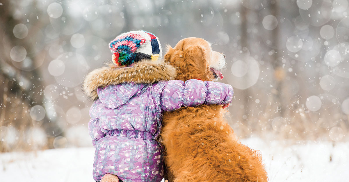 Featured image for post: Protect Your Pet During Cold Winter Months