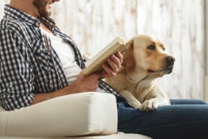 Tips-for-New-Pet-Owners