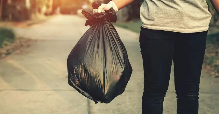 Keep Your Pet Away From Dangers Inside Your Trash Can