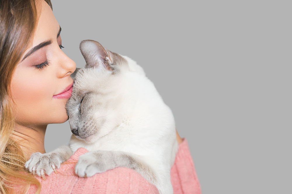 Featured image for post: How To Strengthen Your Bond With Your Cat