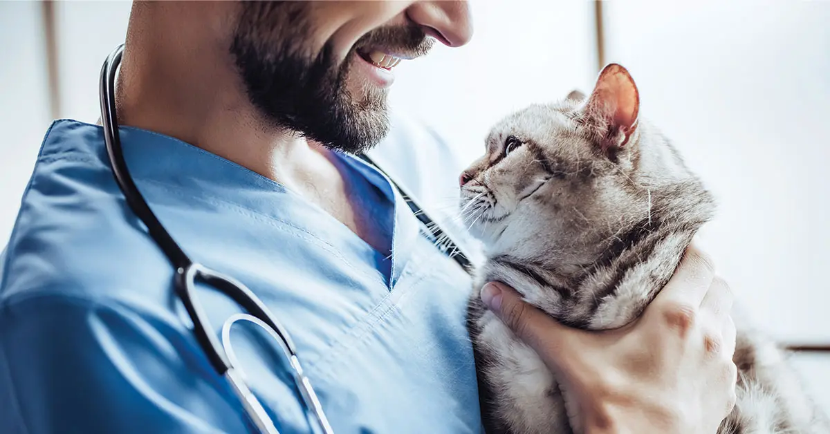 Featured image for post: Everything You Need To Know About Pet Insurance