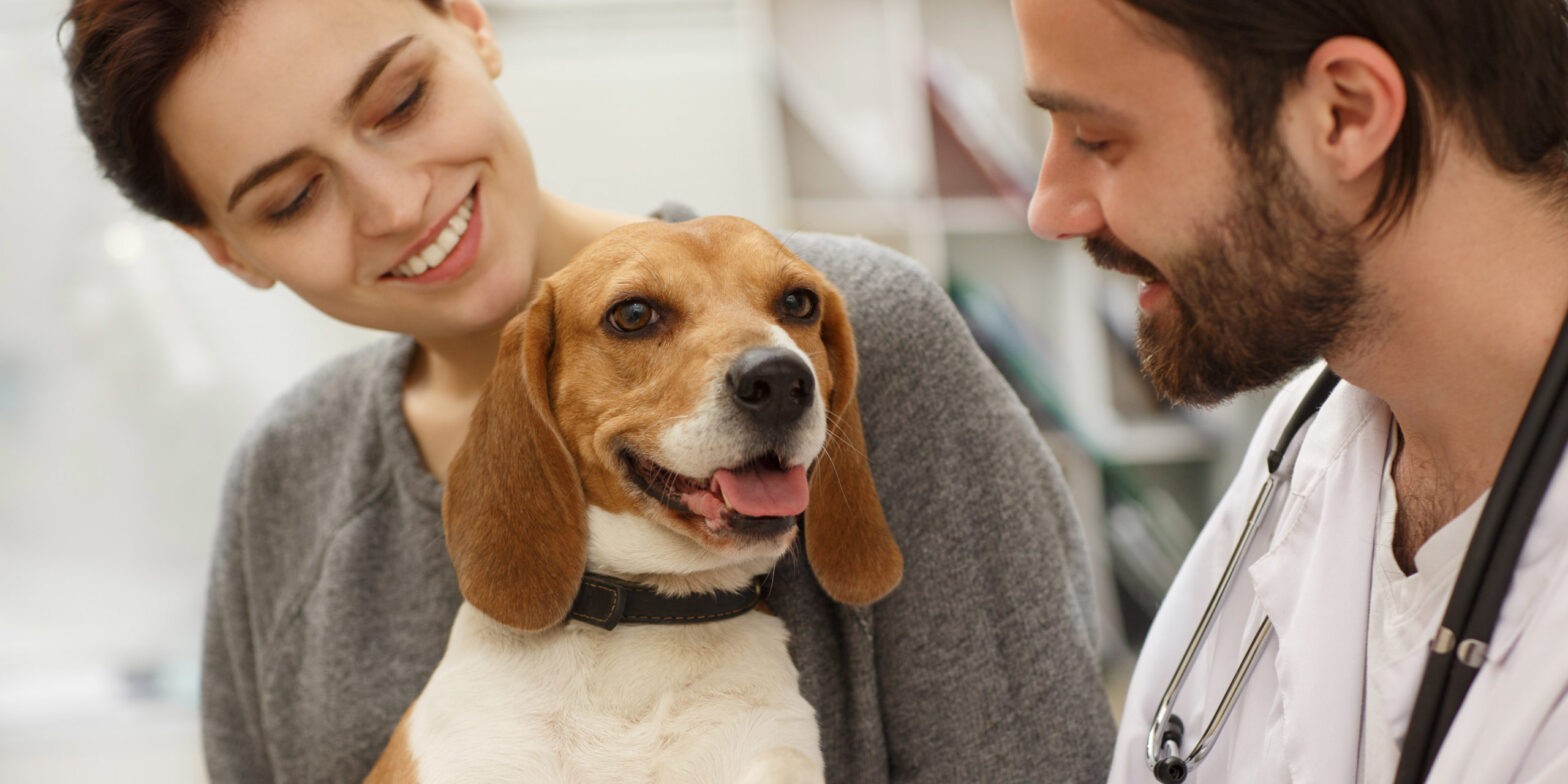Featured image for post: Ten Tips To Make Your Veterinary Visits Better