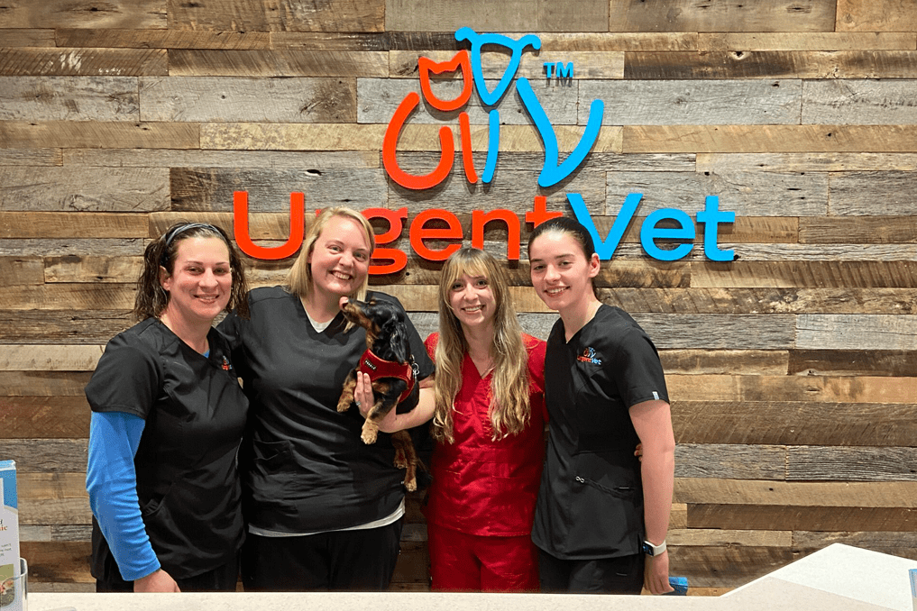 Featured image for post: New Veterinarian Clinic Provides Alternative to Emergency Center Visits