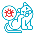 cat skin Allergies icon