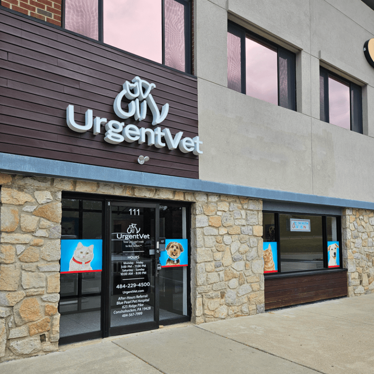 UrgentVet Wayne emergency vet clinic wayne pa