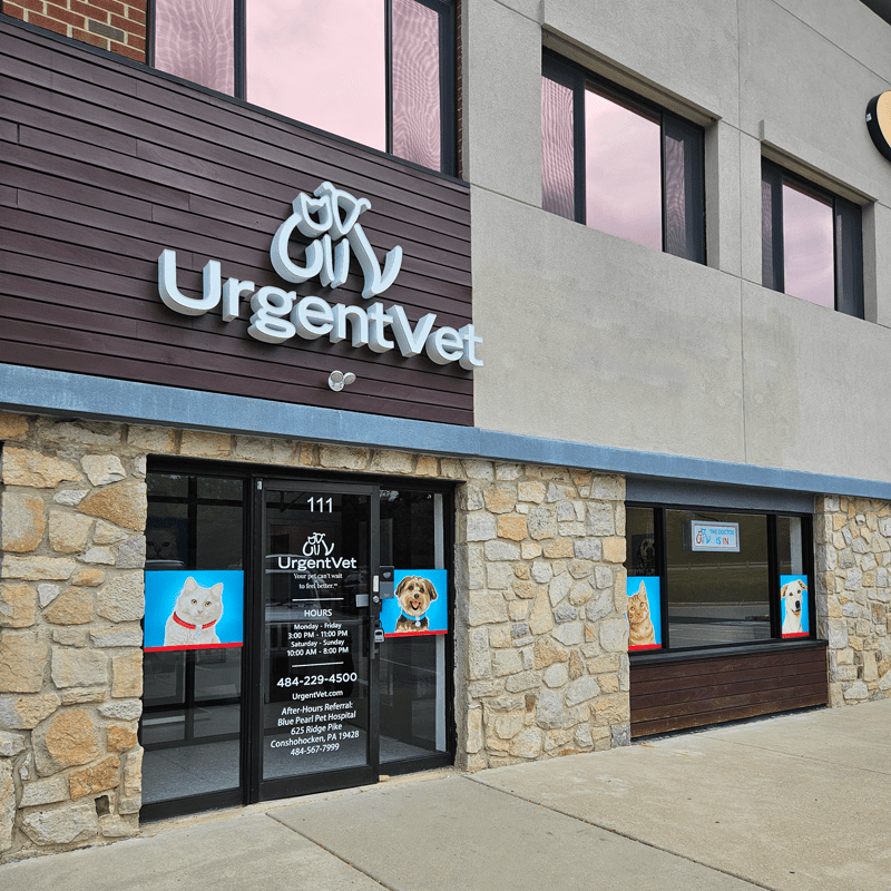 Featured image for post: Wayne Welcomes Newest UrgentVet Location – Clinic Offers Flexible Hours to Support Health and Happiness of Local Pets