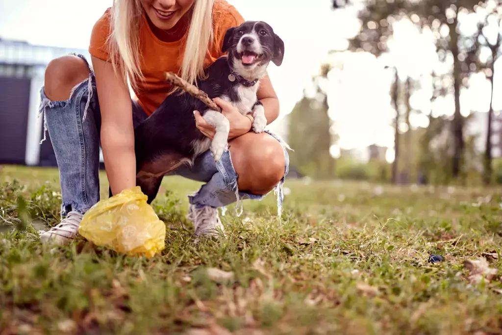 a pet owner picking up their dog's poop