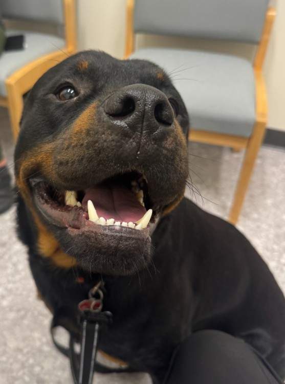 photo of Max