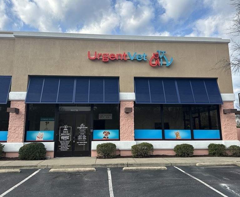 Featured image for post: Newport News Urgent Vet Clinic | Newport News, VA