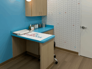 UrgentVet---2025-Exam-Room