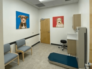 UrgentVet ExamRoom