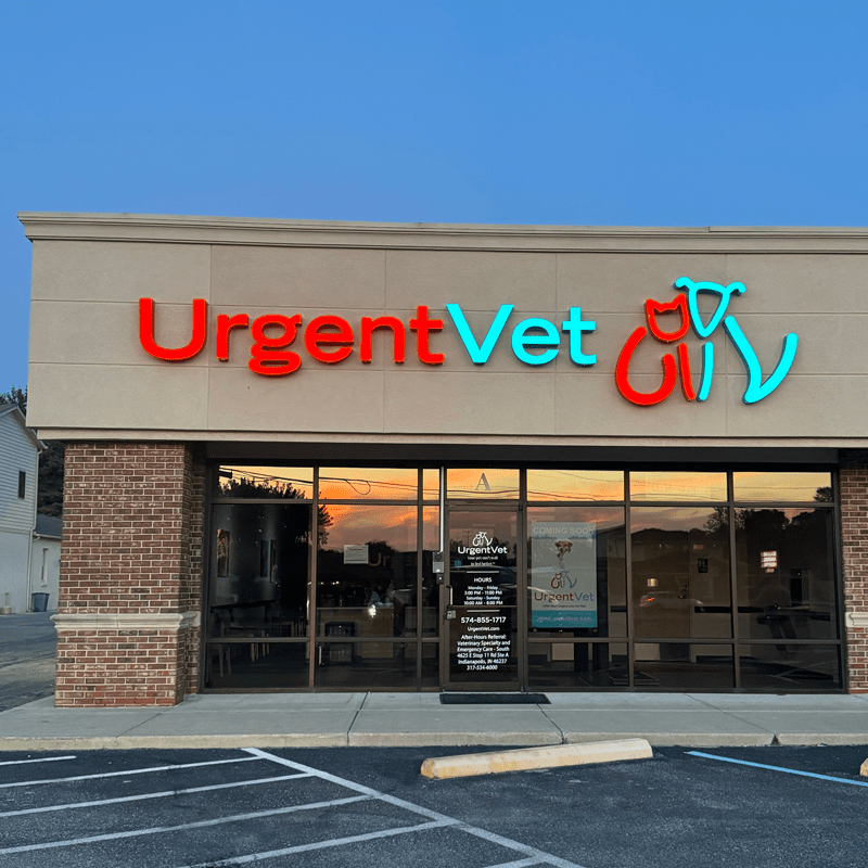 UrgentVet Greenwood vet clinic