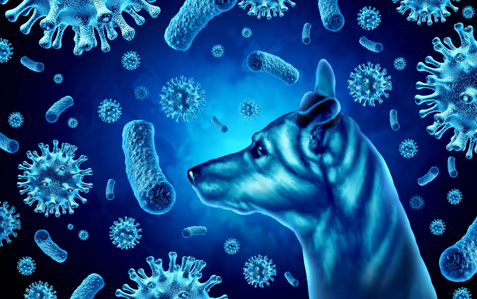 Dog Disease Outbreak