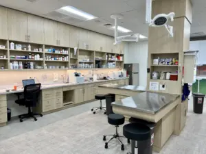 Treatment & Lab Area