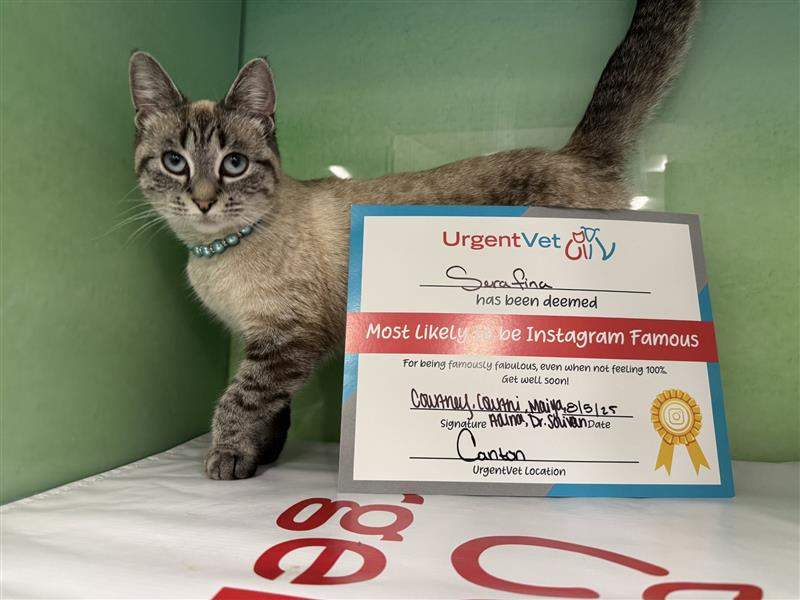 photo of Serafina