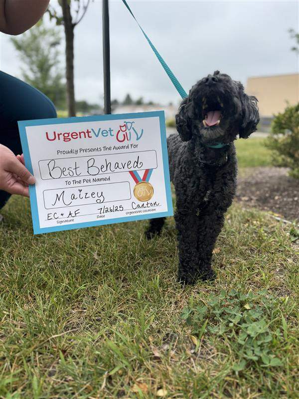 photo of Maizey