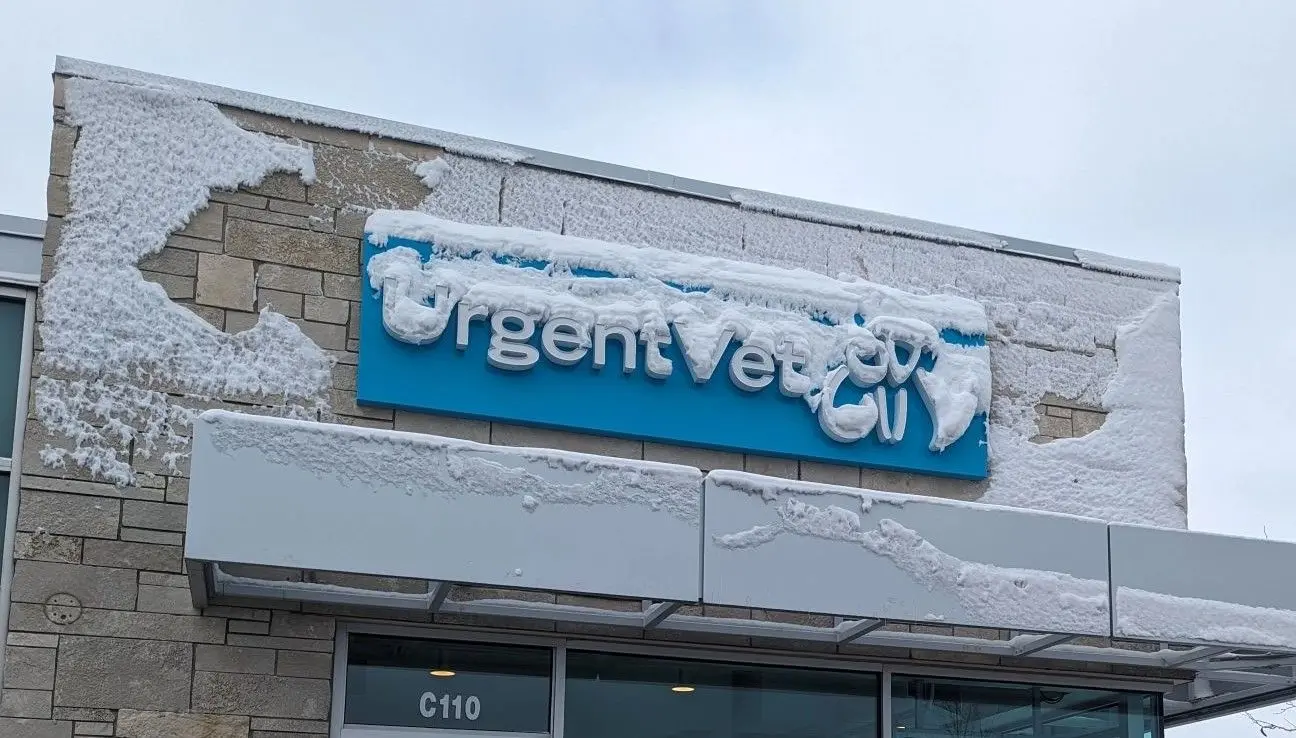 Featured image for post: UrgentVet Expands After-Hours Pet Care to Glendale, Wisconsin