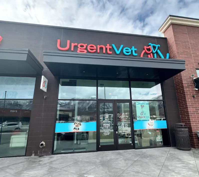 Featured image for post: UrgentVet Expands Its Reach to Utah with the Grand Opening of First Location in Salt Lake City