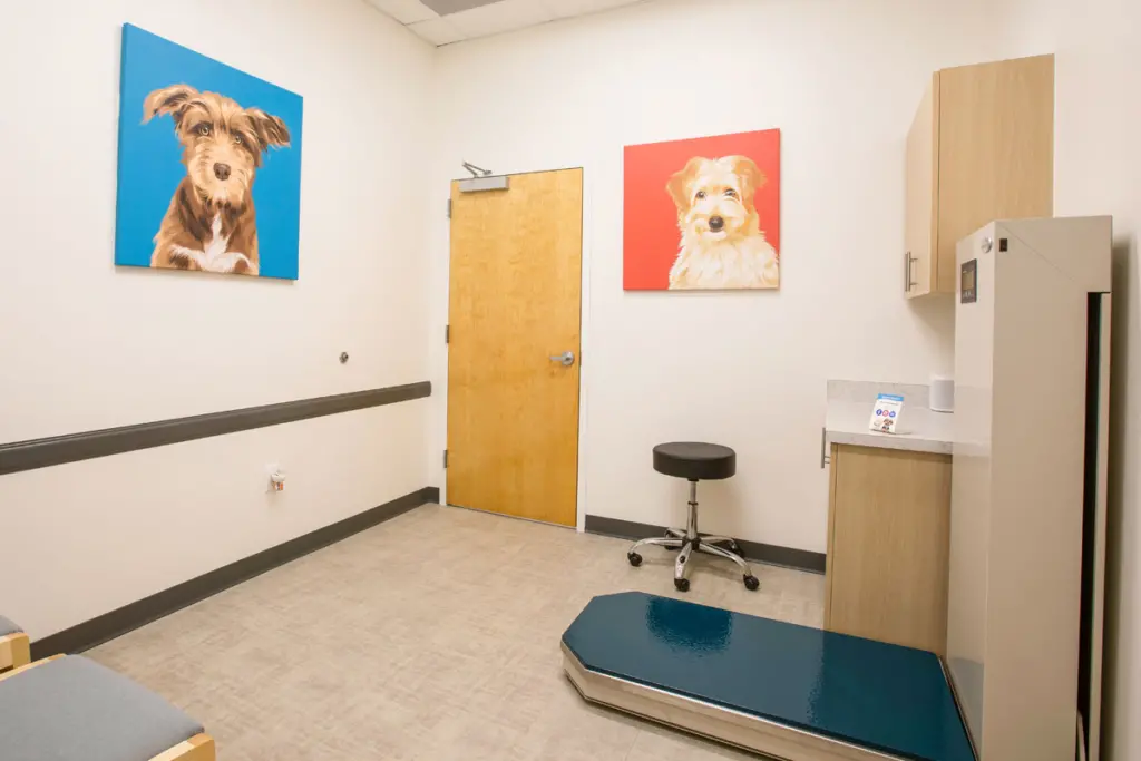 UrgentVet Large Dog Exam Room