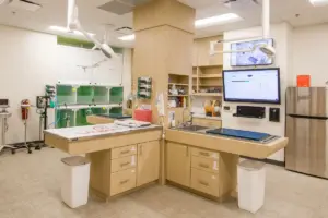 UrgentVet Treatment and Lab Area