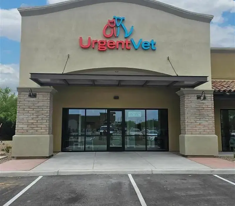 Featured image for post: After-Hours Pet Care Options in Southern Arizona Expand with the Addition of UrgentVet