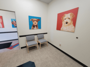 UrgentVet Pet Clinic Examination Room