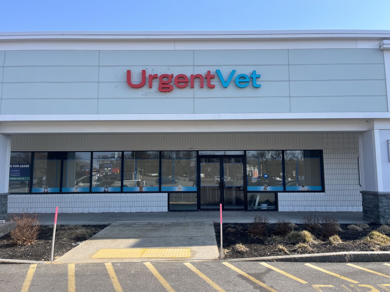 Featured image for post: After-Hours Pet Care Option To Open In Massachusetts With First Location In Boston