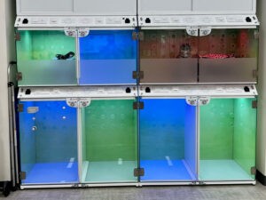 Casco Pet Enclosures