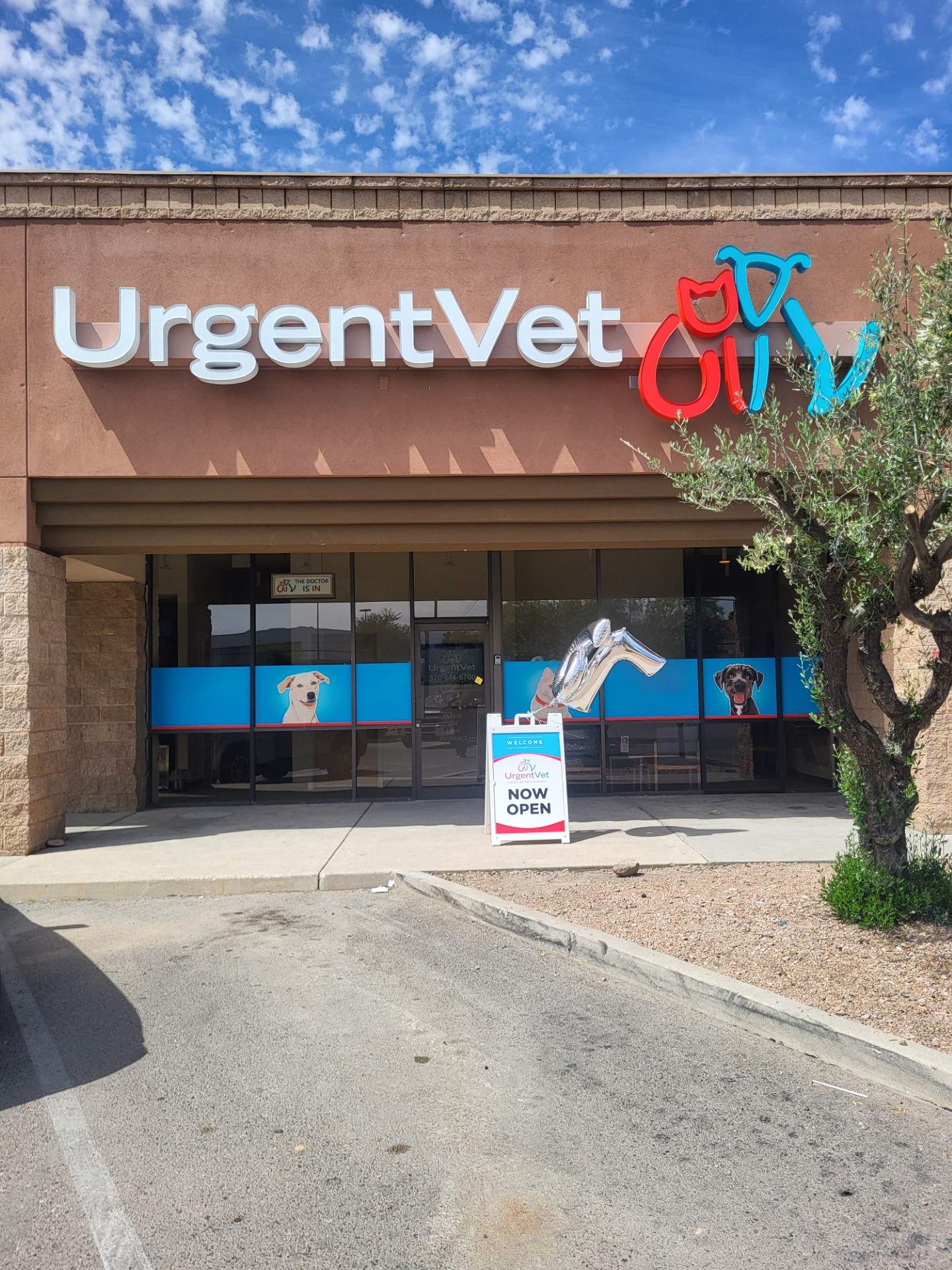 Featured image for post: Urgent pet care clinic from Florida opens first location in Tucson