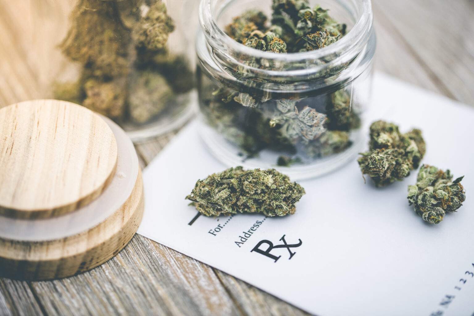 Fresh Look at What To Do If Your Pet Eats Weed Marijuana Toxicity