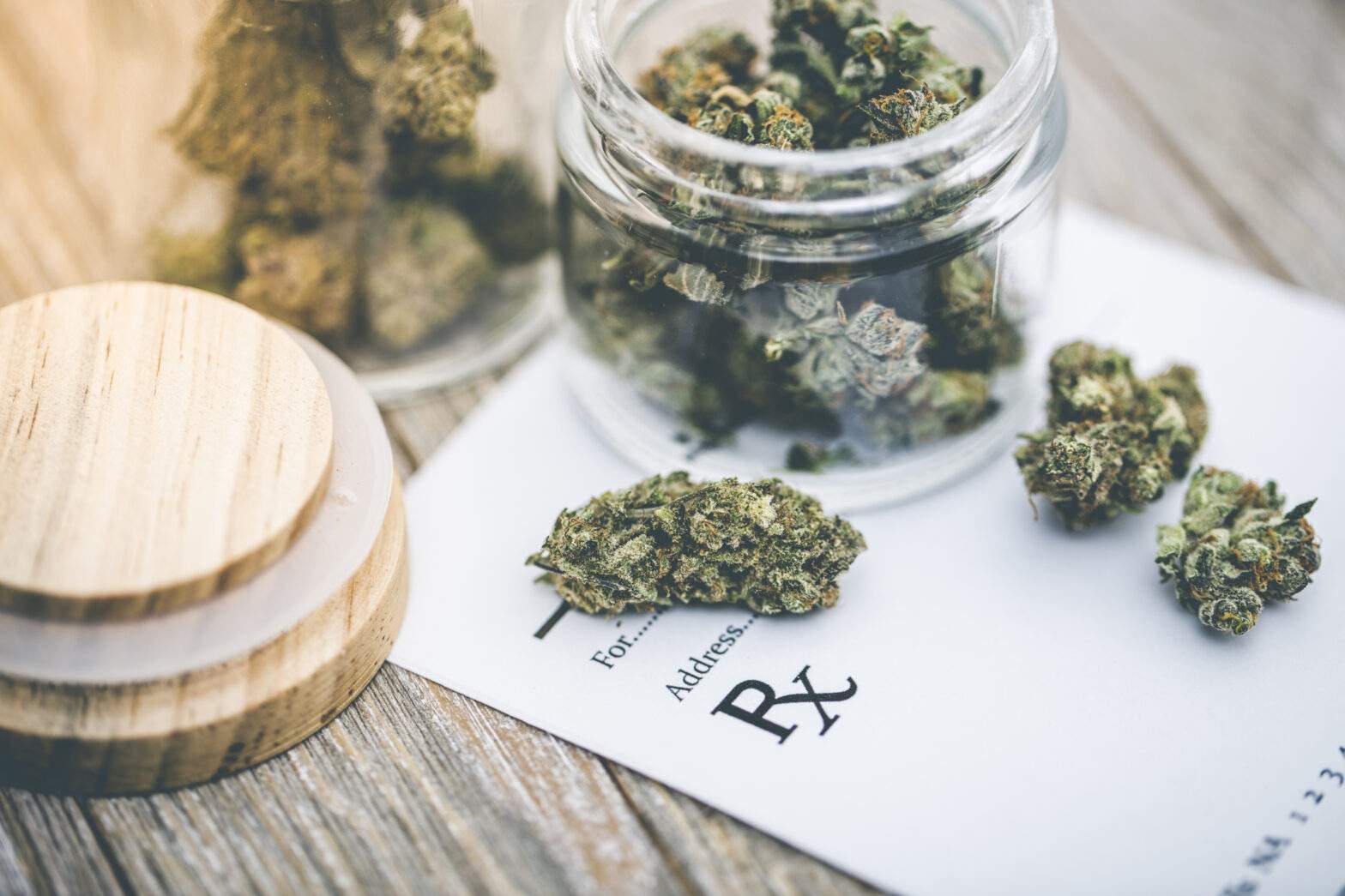 Image showcasing What To Do If Your Pet Eats Weed: Marijuana Toxicity In Dogs & Cats
