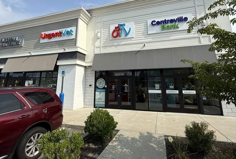 Featured image for post: New UrgentVet fulfills non-emergent pet care needs after hours