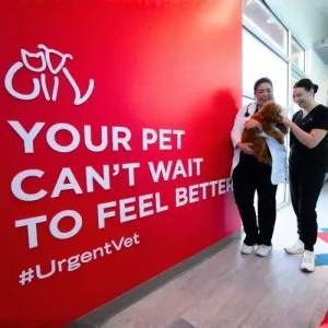 Two veterinary staff hold a small dog in a bright clinic lobby beside a red wall reading, "YOUR PET CAN'T WAIT TO FEEL BETTER" and "#UrgentVet".