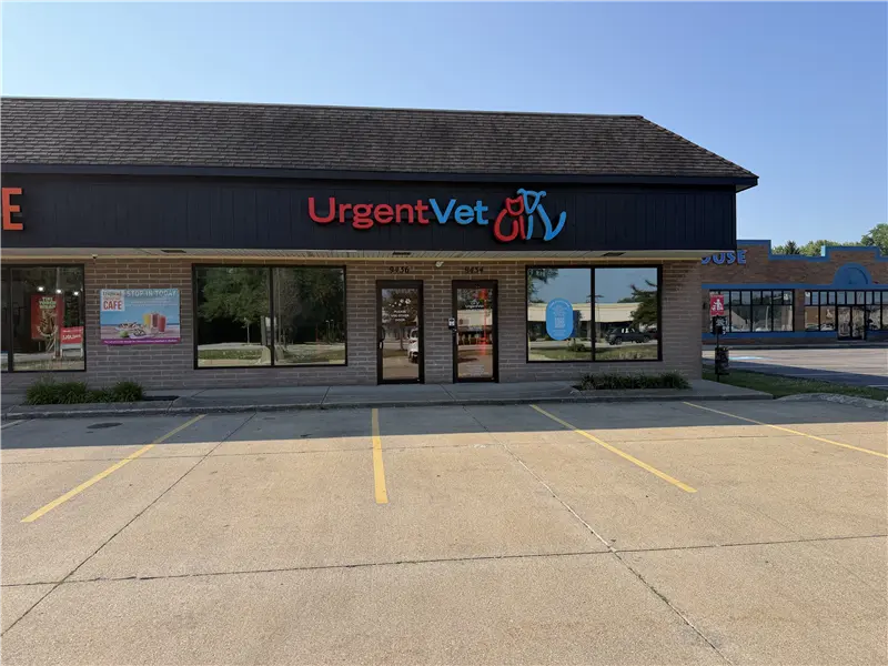 Featured image for post: Mentor Urgent Vet | Mentor, OH